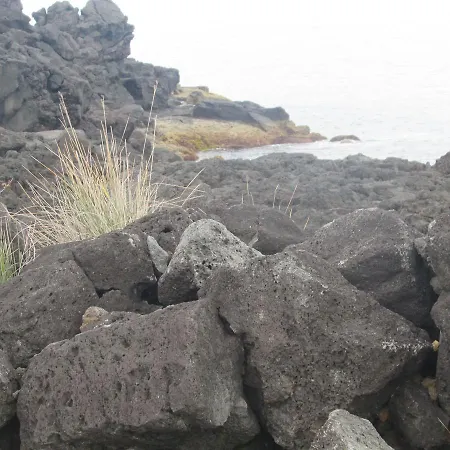 Adega Do Gato Inn Calhau