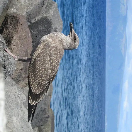 Adega Do Gato Calhau