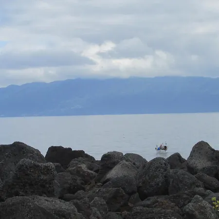 Kro Adega Do Gato Calhau