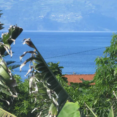 Adega Do Gato Kro Calhau