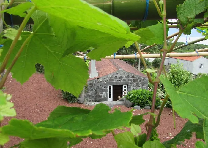 Adega Do Gato 3* Calhau