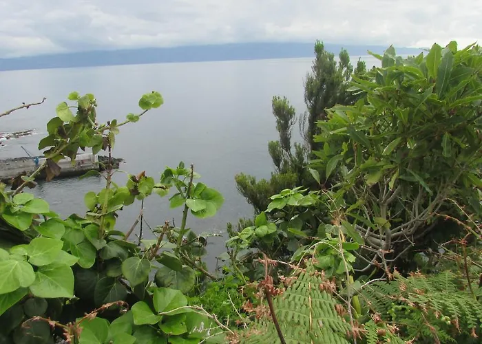 Adega Do Gato Inn Calhau