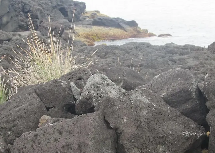 Adega Do Gato Inn Calhau