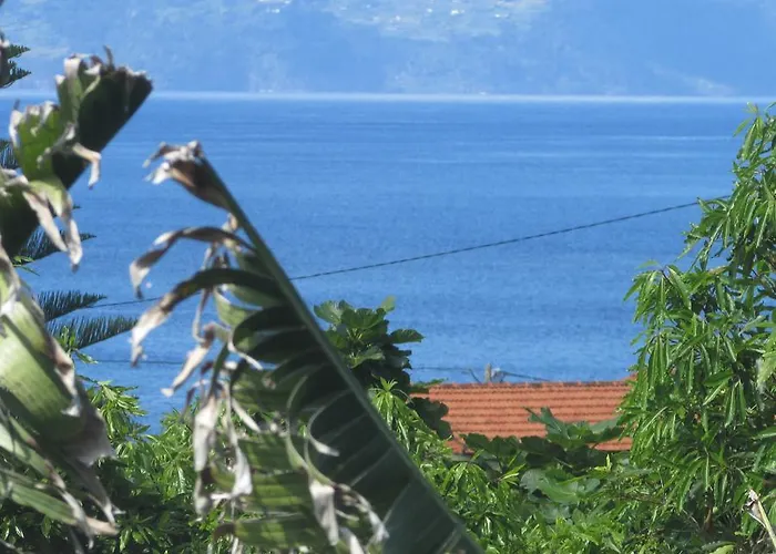 Adega Do Gato Inn Calhau